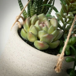 Discount 💯 Sullivans Artificial Hanging Succulent In Pot 😍 -Sullivans Sales unnamed file 4093