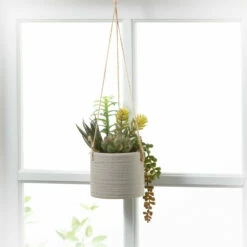 Discount 💯 Sullivans Artificial Hanging Succulent In Pot 😍 -Sullivans Sales unnamed file 4094