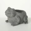 Outlet ✔️ Sullivans 8 In. Charcoal Gray Frog Planter; Gray ❤️ -Sullivans Sales unnamed file 4095