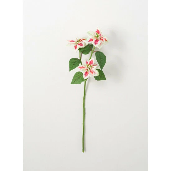 Best Sale ๐คฉ Sullivans White Red Poinsettia Stem - 7"L X 6"W X 25"H ๐งจ 3 Best Sale ๐คฉ Sullivans White Red Poinsettia Stem - 7"L X 6"W X 25"H ๐งจ