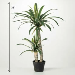Promo 💯 Sullivans Artificial Medium Potted Dracaena Tree 🔥 -Sullivans Sales unnamed file 4143