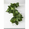 Promo 🔥 Sullivans Salal Leaf Garland - Green 😍 -Sullivans Sales unnamed file 4208