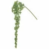 Best reviews of ⌛ Sullivans Hanging Succulent ❤️ -Sullivans Sales unnamed file 4214