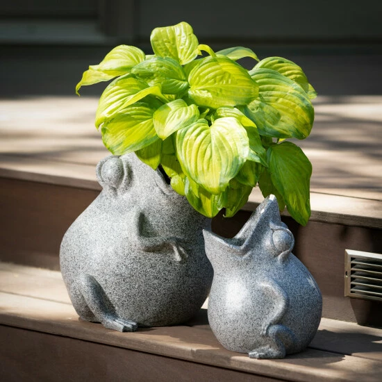 Outlet ๐ฅฐ Sullivans 9.25 In. And 13.25 In. Tongue-In-Cheek Frog Planters - Set Of 2; Gray ๐ 5 Outlet ๐ฅฐ Sullivans 9.25 In. And 13.25 In. Tongue-In-Cheek Frog Planters - Set Of 2; Gray ๐ - Image 3