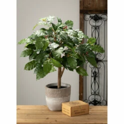 Promo ๐ Sullivans Pot ๐ฅฐ 8 Promo ๐ Sullivans Pot ๐ฅฐ -Sullivans Sales unnamed file 4281