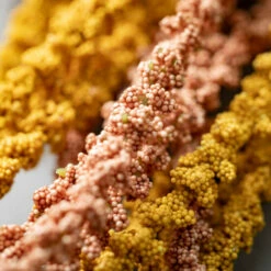 New 🧨 Sullivans 27" Artificial Amaranthus Spray - Set Of 2 🤩 -Sullivans Sales unnamed file 4304