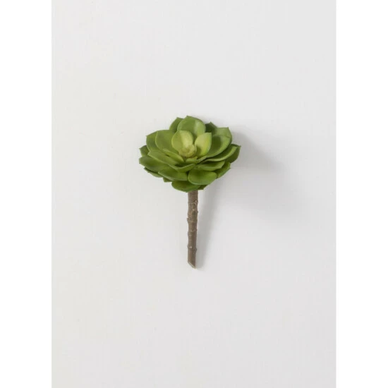 Deals โจ Sullivans Succulent Pick - 3.5"L X 3.5"W X 5"H ๐ 3 Deals โจ Sullivans Succulent Pick - 3.5"L X 3.5"W X 5"H ๐