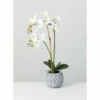 Outlet 🌟 Sullivans Potted Orchid - White ⌛ -Sullivans Sales unnamed file 4429