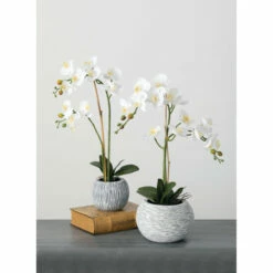 Outlet 🌟 Sullivans Potted Orchid - White ⌛ -Sullivans Sales unnamed file 4431