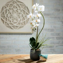 Best deal π Sullivans 3.5 In. Glazed Ombre Bird Figurines - Set Of 2; Blue π 7 Best deal π Sullivans 3.5 In. Glazed Ombre Bird Figurines - Set Of 2; Blue π -Sullivans Sales unnamed file 4454