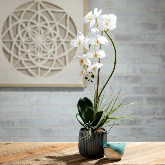 Best deal π Sullivans 3.5 In. Glazed Ombre Bird Figurines - Set Of 2; Blue π 5 Best deal π Sullivans 3.5 In. Glazed Ombre Bird Figurines - Set Of 2; Blue π - Image 3