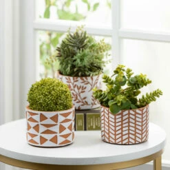 Deals ❤️ Sullivans Abstract Print Terracotta Ceramic Planters - Set Of 3 ✔️ -Sullivans Sales unnamed file 4466