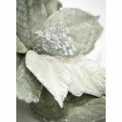 Best reviews of 🥰 Sullivans Poinsettia Artificial Stem ❤️ -Sullivans Sales unnamed file 4470