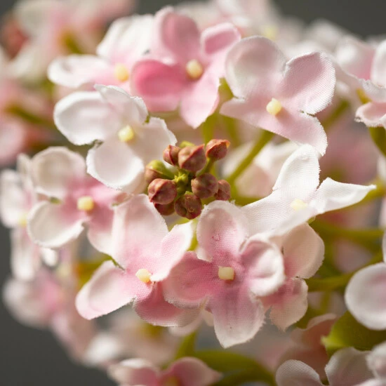 Coupon ๐งจ Sullivans Artificial Pink Lilac Stem ๐ 4 Coupon ๐งจ Sullivans Artificial Pink Lilac Stem ๐ - Image 2