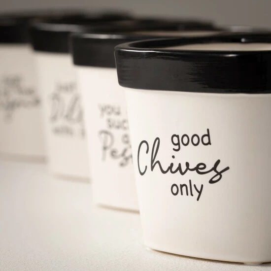 Buy ๐ Sullivans Ceramic Pun Text Planter - Set Of 4 - 5"L X 5"W X 4.5"H ๐ 4 Buy ๐ Sullivans Ceramic Pun Text Planter - Set Of 4 - 5"L X 5"W X 4.5"H ๐ - Image 2