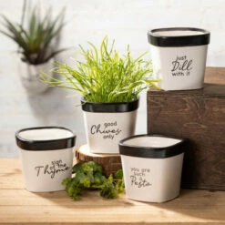 Buy ๐ Sullivans Ceramic Pun Text Planter - Set Of 4 - 5"L X 5"W X 4.5"H ๐ 7 Buy ๐ Sullivans Ceramic Pun Text Planter - Set Of 4 - 5"L X 5"W X 4.5"H ๐ -Sullivans Sales unnamed file 4545