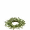 Buy ๐ Sullivans Baby Grass Accent Ring ๐ 2 Buy ๐ Sullivans Baby Grass Accent Ring ๐ -Sullivans Sales unnamed file 4572