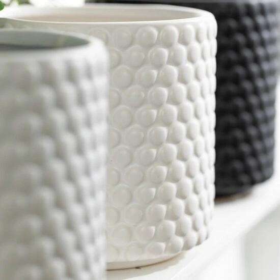 Flash Sale โญ Sullivans Ceramic Dot Textured Pot - Set Of 3 - 6"L X 6"W X 6"H ๐ฏ 4 Flash Sale โญ Sullivans Ceramic Dot Textured Pot - Set Of 3 - 6"L X 6"W X 6"H ๐ฏ - Image 2