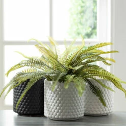 Flash Sale โญ Sullivans Ceramic Dot Textured Pot - Set Of 3 - 6"L X 6"W X 6"H ๐ฏ 9 Flash Sale โญ Sullivans Ceramic Dot Textured Pot - Set Of 3 - 6"L X 6"W X 6"H ๐ฏ -Sullivans Sales unnamed file 4575