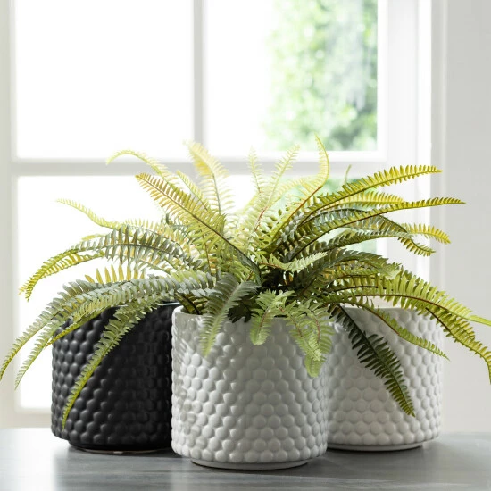 Flash Sale โญ Sullivans Ceramic Dot Textured Pot - Set Of 3 - 6"L X 6"W X 6"H ๐ฏ 5 Flash Sale โญ Sullivans Ceramic Dot Textured Pot - Set Of 3 - 6"L X 6"W X 6"H ๐ฏ - Image 3