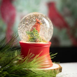 Deals 😍 Sullivans LED Cardinal Waterglobe 🛒 -Sullivans Sales unnamed file 4586