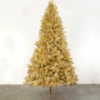 Flash Sale 😍 Sullivans 9' Champagne Pine Artificial Tree With Lights 😉 -Sullivans Sales unnamed file 4602
