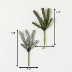 Cheap 😍 Sullivans Artificial Crassula Succulent - Set Of 2 🔔 -Sullivans Sales unnamed file 4650