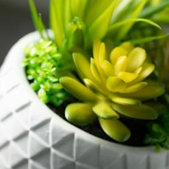 Coupon ✔️ Sullivans Artificial Succulet Array In Large Pot 🧨 -Sullivans Sales unnamed file 4684