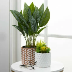 Coupon ✔️ Sullivans Artificial Succulet Array In Large Pot 🧨 -Sullivans Sales unnamed file 4685