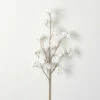 Best deal ⭐ Sullivans 30.5" Artificial White Berry Stem 💯 -Sullivans Sales unnamed file 4704