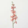 Wholesale 🧨 Sullivans Artificial Coral Spider Orchid Stem 🎁 -Sullivans Sales unnamed file 4712