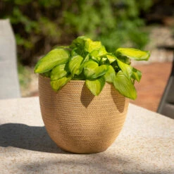 Top 10 🤩 Sullivans 6 In., 8.5 In. And 11 In. Seagrass Weave Textured Pots - Set Of 3; Brown 🛒 -Sullivans Sales unnamed file 4719