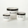 Wholesale 👍 Sullivans Ceramic Pun Text Planter - Set Of 3 ⌛ -Sullivans Sales unnamed file 4732