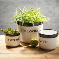 Wholesale 👍 Sullivans Ceramic Pun Text Planter - Set Of 3 ⌛ -Sullivans Sales unnamed file 4734