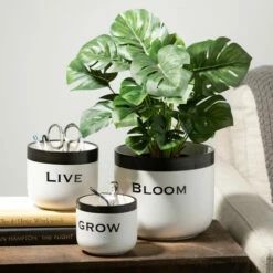 Wholesale 👍 Sullivans Ceramic Pun Text Planter - Set Of 3 ⌛ -Sullivans Sales unnamed file 4735