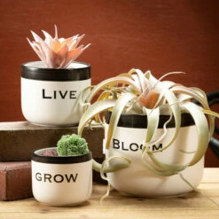 Wholesale 👍 Sullivans Ceramic Pun Text Planter - Set Of 3 ⌛ -Sullivans Sales unnamed file 4736