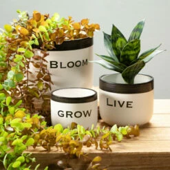 Wholesale 👍 Sullivans Ceramic Pun Text Planter - Set Of 3 ⌛ -Sullivans Sales unnamed file 4737