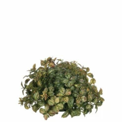 Flash Sale 🥰 Sullivans Mini Leaf Berry 1/2 Orb - Green ✔️