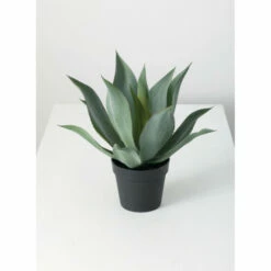 Cheapest 🔥 Sullivans Agave Potted - Green 🌟