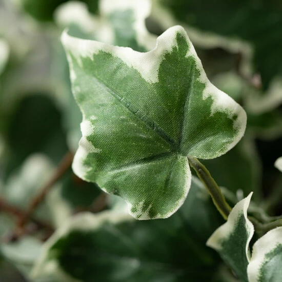 Deals 🎁 Sullivans Artificial Ivy Twig Bundle ⭐ 4 Deals 🎁 Sullivans Artificial Ivy Twig Bundle ⭐ - Image 2