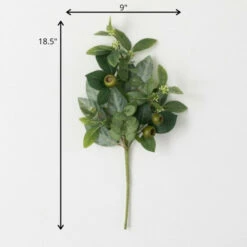 Promo 🤩 Sullivans Artificial Israeli Ruscus Stem ❤️ -Sullivans Sales unnamed file 4830