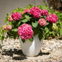 Deals 👏 Sullivans 16 In. And 11.5 In. Fluted Ribbed White Planters - Set Of 2 👍 -Sullivans Sales unnamed file 4885