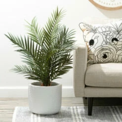 Deals 🎁 Sullivans 12.5 In. And 10.5 In. Contemporary Textured White Pots - Set Of 2 🤩 -Sullivans Sales unnamed file 4889