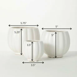 Best reviews of 🤩 Sullivans White Ribbed Ceramic Planter - Set Of 3 🎁 -Sullivans Sales unnamed file 4916