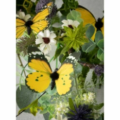 Cheap ❤️ Sullivans Butterfly Clip - Set Of 6 🤩 -Sullivans Sales unnamed file 4928