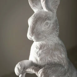 Top 10 🧨 Sullivans Whitewashed Decorative Bunny & Basket 😀 -Sullivans Sales unnamed file 4978