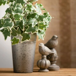 Wholesale 🎁 Sullivans Stone-Look Bird Finial - Set Of 2 🛒 -Sullivans Sales unnamed file 5003