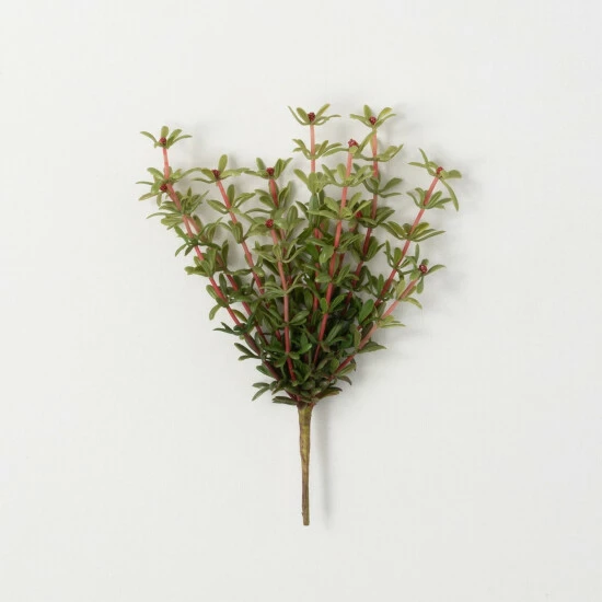 Deals ๐ Sullivans Artificial Myrtle Ornamental Green Bush โค๏ธ 3 Deals ๐ Sullivans Artificial Myrtle Ornamental Green Bush โค๏ธ