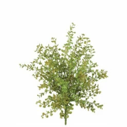 Budget 🎉 Sullivans Pepper Grass Pick - Green 🥰