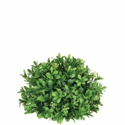 Flash Sale 🤩 Sullivans New England Boxwood Half Orb - Green ⭐